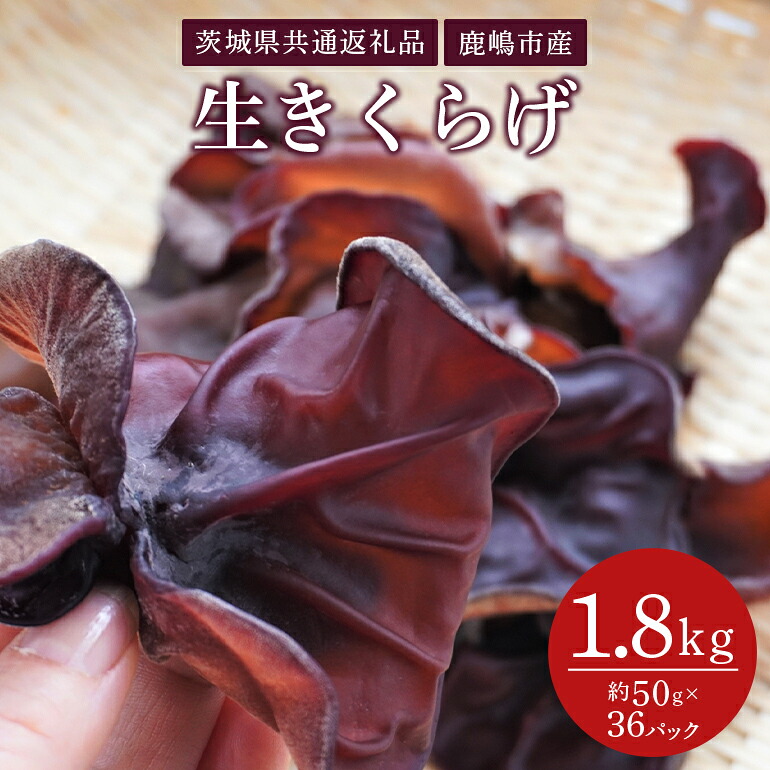 【ふるさと納税】きくらげ 50g×36パック(茨城県共通返礼品・鹿嶋市産)|茨城県笠間市