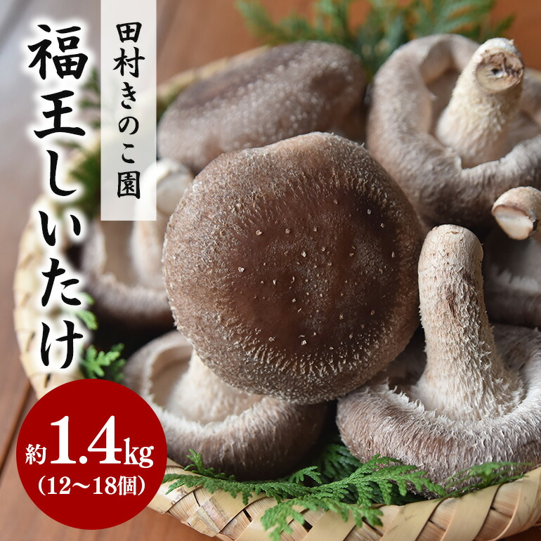 【ふるさと納税】【先行販売/2025年10月中旬～発送】 福王しいたけ 特大サイズ 約1.4kg しいたけ 椎茸