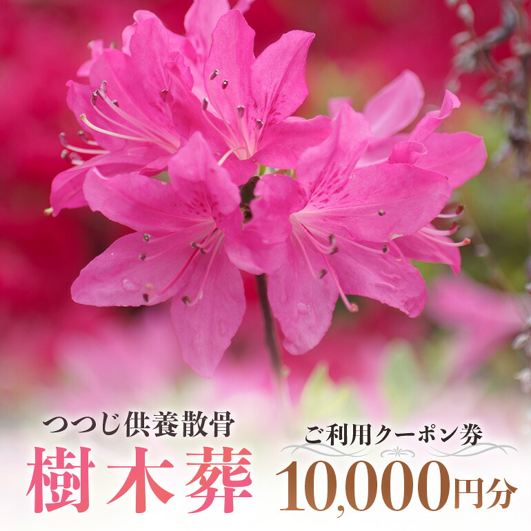 【ふるさと納税】自然供養のカンシャ 樹木葬 つつじ供養散骨 ご利用クーポン 10000円分