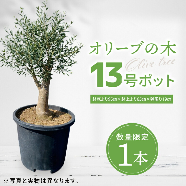 キリンビール特集