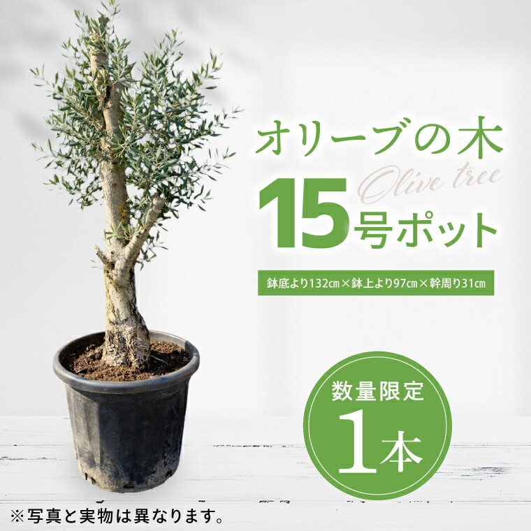 キリンビール特集