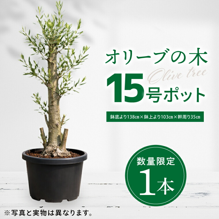 キリンビール特集