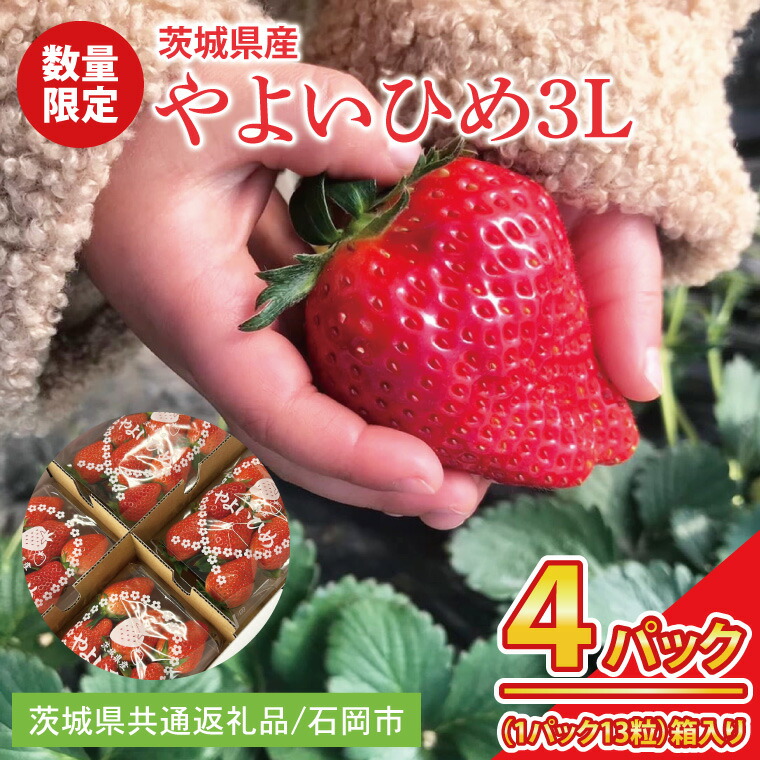 【ふるさと納税】【先行予約】【2026年2月より順次発送】いちご やよいひめ3L 4パック【茨城県共通返礼品／石岡市】│ フルーツ 果物 数量限定 茨城県（BK002）