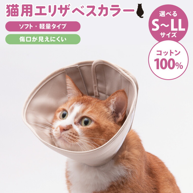 キリンビール特集