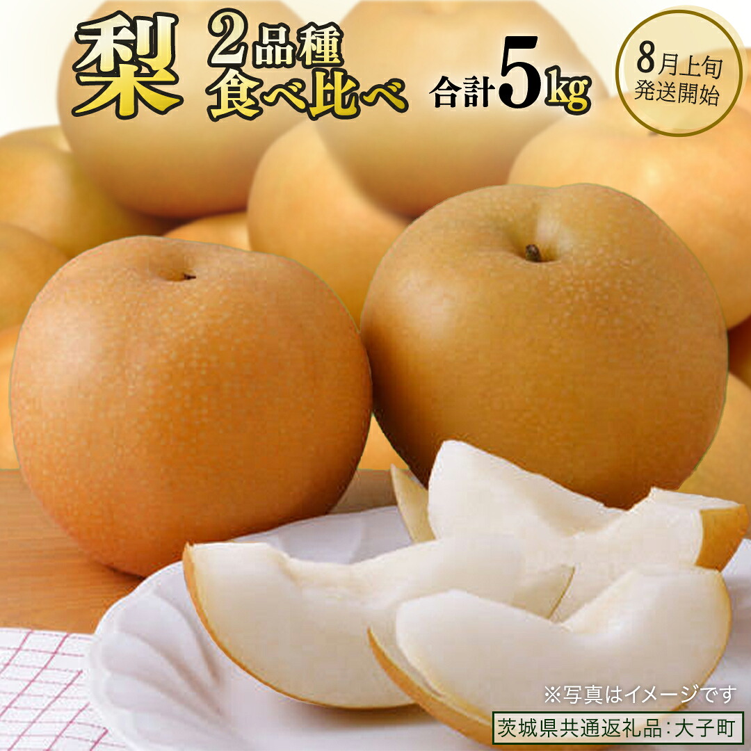 【ふるさと納税】《 食べ比べ 》 梨 2品種 合計 約5kg 【2026年8月上旬発送開始】 (茨城県共通返礼品：大子町) なし 果物 くだもの フルーツ おまかせ 旬