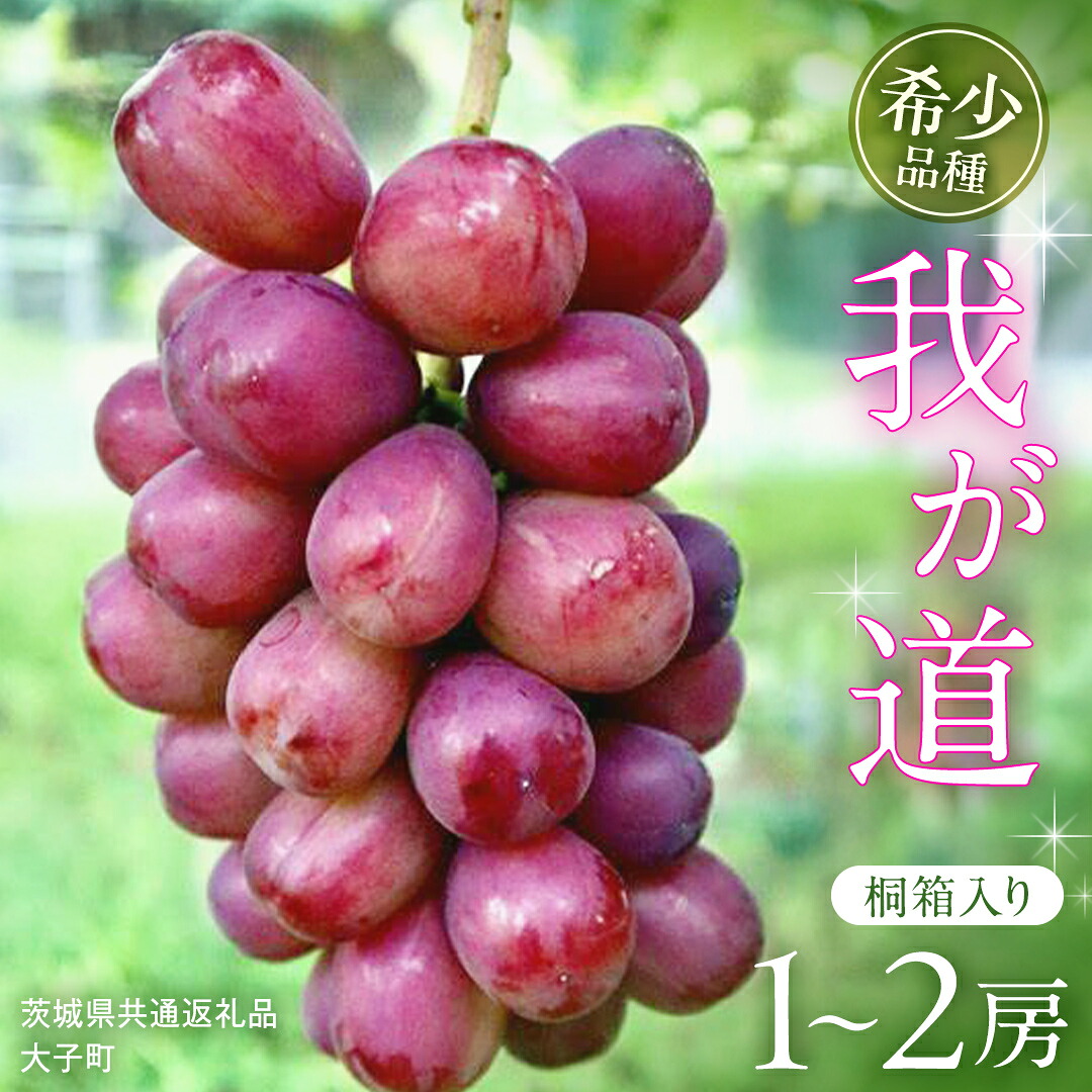 【ふるさと納税】《 選べる 房数 》【桐箱入り】 我が道 １房 ２房【2026年9月上旬発送開始】(茨城県共通返礼品：大子町) シャインマスカット ウインク 葡萄 ブドウ ぶどう 果物 フルーツ 希少 新品種 贈答用 贈り物 ギフト プレゼント｜茨城県牛久市 26,000円