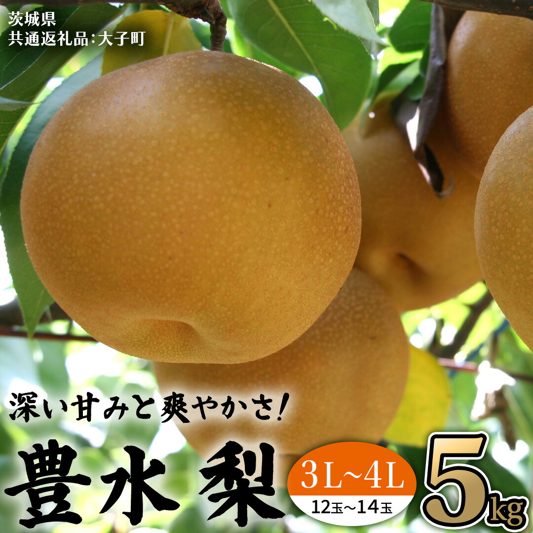 【ふるさと納税】茨城県産 梨 豊水 サイズ おまかせ （ 3L～4L ） 5kg （ 12～14玉 ） 【2026年9月上旬発送開始】 (茨城県共通返礼品：大子町) 梨 なし ナシ 果物 くだもの 季節 フルーツ デザート 旬果