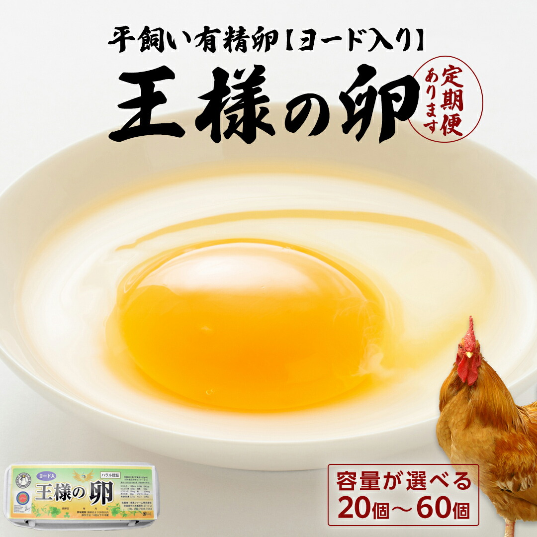 【ふるさと納税】＼ 選べる　発送方法・内容量  ／　王様の卵 ヨード入　20個・40個・60個 単品発送 3ヶ月 6ヶ月 連続定期便 単品発送 平飼い 地鶏 有精卵 濃厚 卵 こだわり卵 たまご