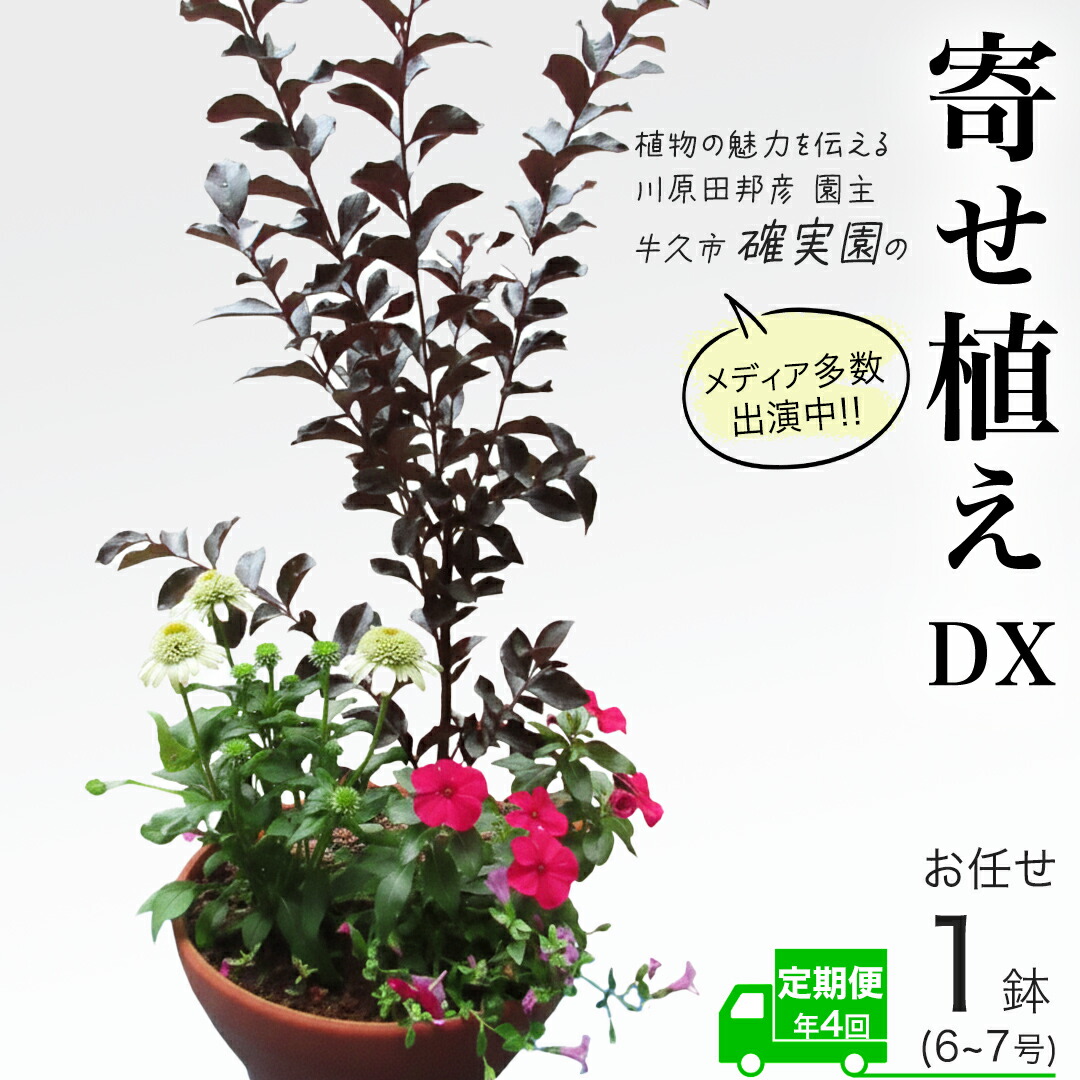 一般受けの品特集