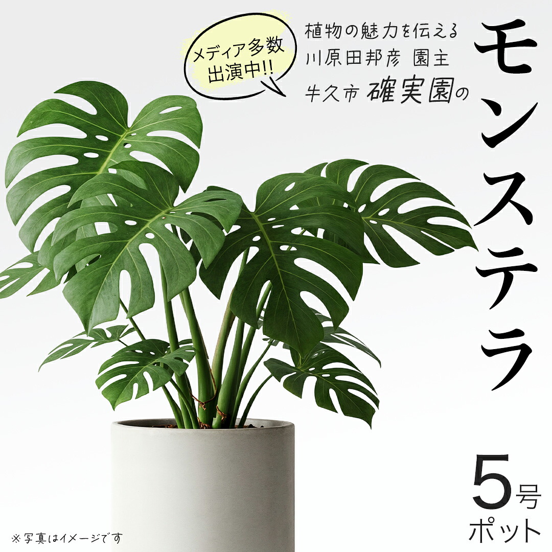 一般受けの品特集