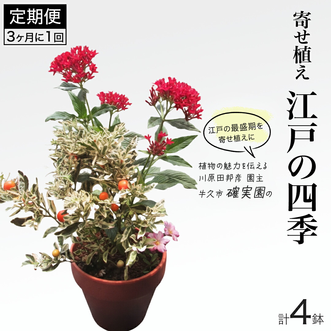 一般受けの品特集