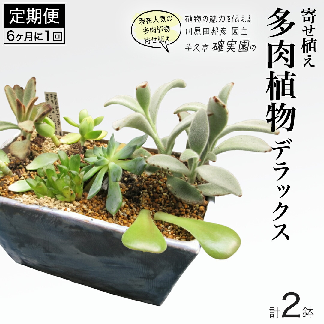 一般受けの品特集