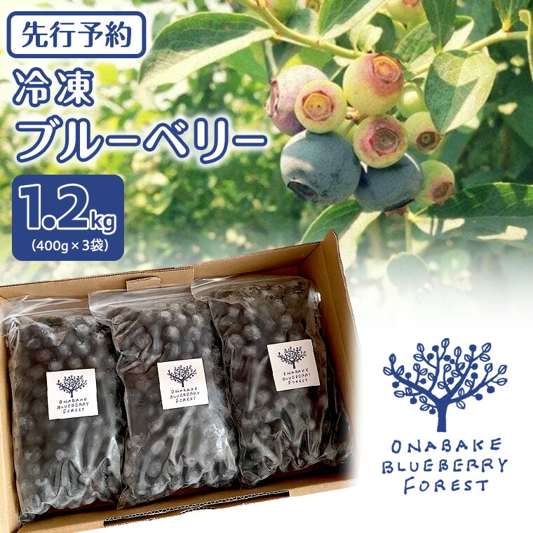 【ふるさと納税】《 先行予約 》 冷凍 ブルーベリー 400g×3袋 【2025年7月上旬頃より発送開始】冷凍 大粒 フルーツ 果物 くだもの おやつ 無農薬 農薬不使用 お取り寄せ 贈り物 ジャム スムージー