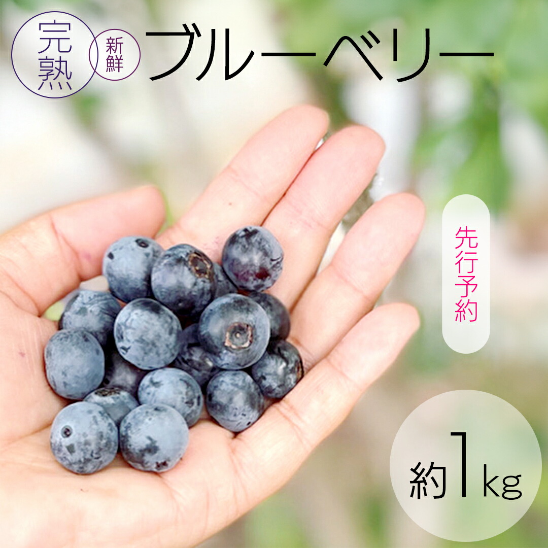 【ふるさと納税】《 先行予約 》完熟 新鮮ブルーベリー 約1kg 【2025年6月上旬頃より発送開始】＜ 産地直送 ＞ ベリー 1kg 1キロ 甘い 甘酸っぱい 冷凍 大粒 おいしい 美味しい フルーツ 果物 くだもの おやつ 無農薬 農薬不使用 お取り寄せ お土産 贈り物 贈答 ギフト 国産