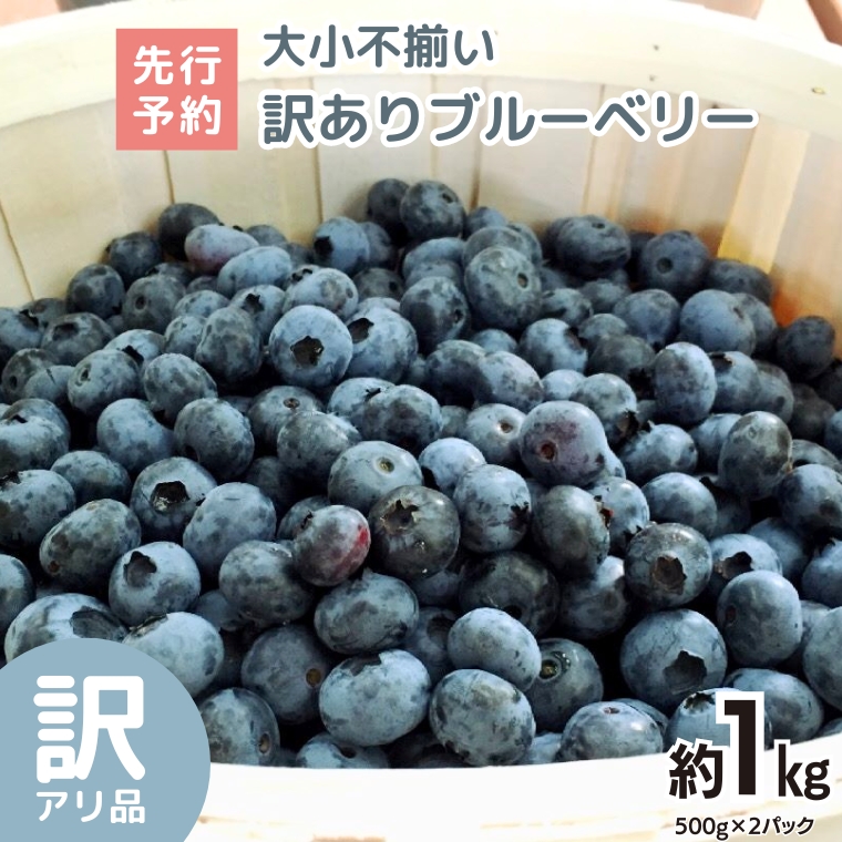 【ふるさと納税】《 先行予約 》ブルーベリー 大小不揃い 約 1kg【2025年6月下旬頃より発送開始】訳アリ B品 お得 甘い 甘酸っぱい 産地直送 おやつ デザート ジャム スムージー