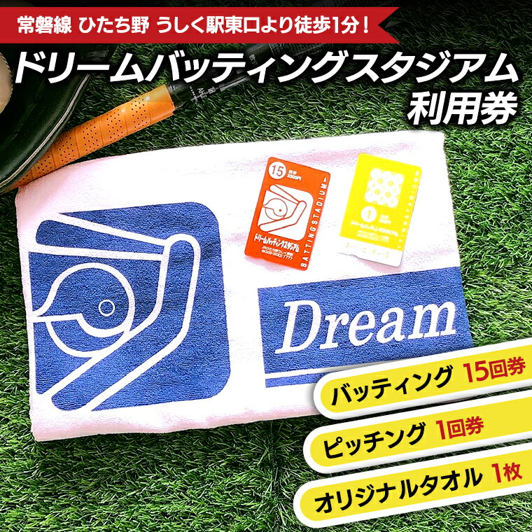 楽天市場】【ふるさと納税】バッティング 4回券・ ピッチング 1回券