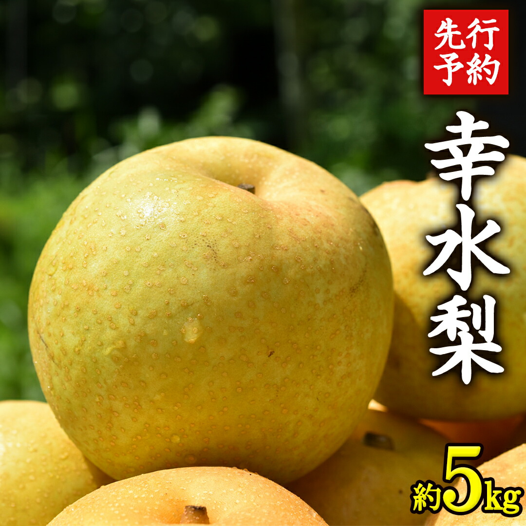 【ふるさと納税】≪先行予約≫ 茨城県産 梨 幸水 （約 5kg） 【 2025年 8月下旬頃より発送開始 】 梨 なし 果物 フルーツ 新鮮 旬 期間限定 甘い 国産
