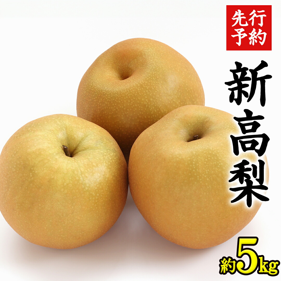 【ふるさと納税】《 先行予約 》 茨城県産 梨 新高 （ 約5kg ） 【 2025年 9月中旬頃より発送開始 】  にいたか ニイタカ フルーツ 果物 なし ナシ 旬 新鮮 旬 期間限定 国産