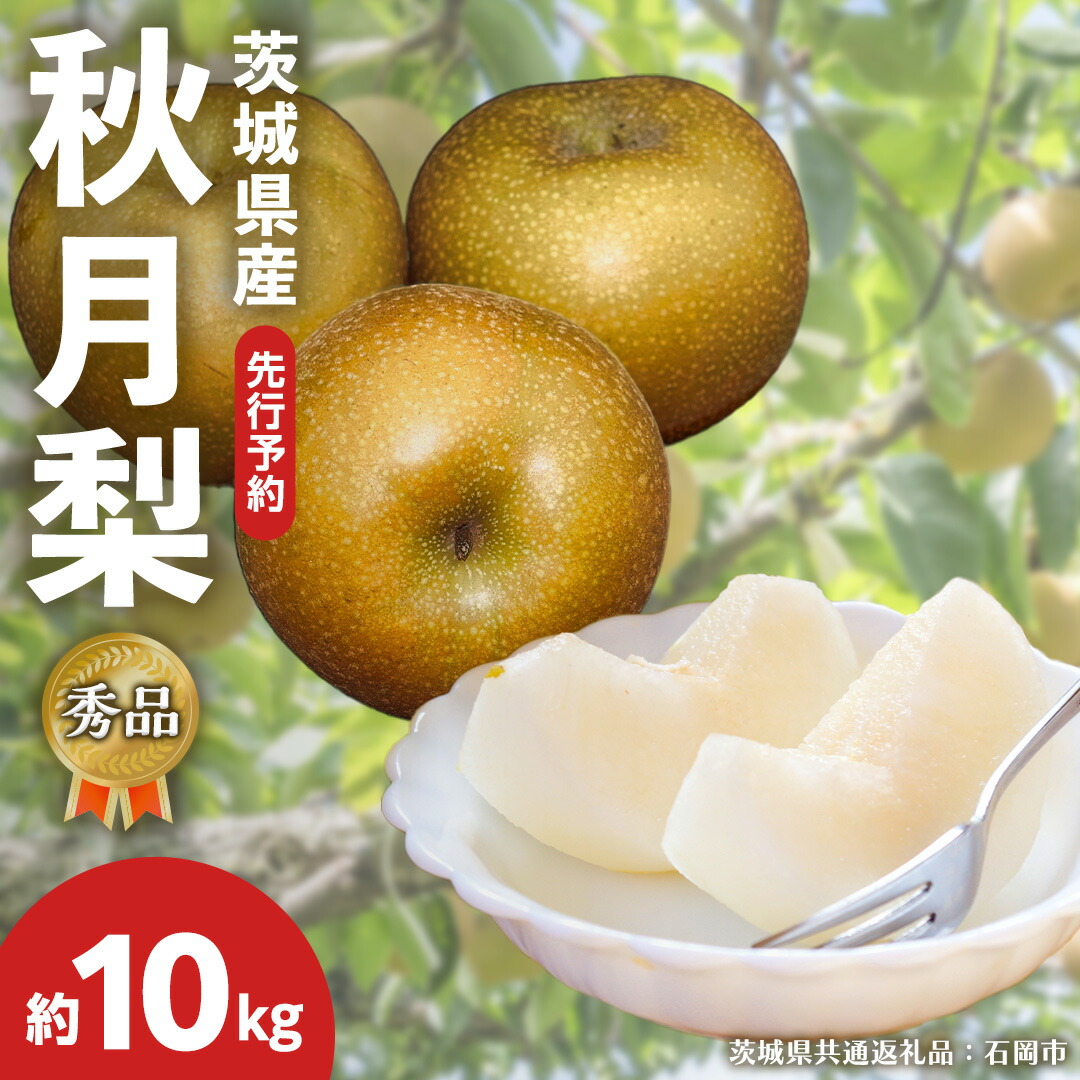 【ふるさと納税】 《 先行予約 》 【 秀品 】 茨城県産 梨 秋月 10kg （茨城県共通返礼品：石岡市） フルーツ 果物 なし ナシ 旬 新鮮 旬 期間限定 甘い 国産 【 2025年9月中旬頃より発送開始 】