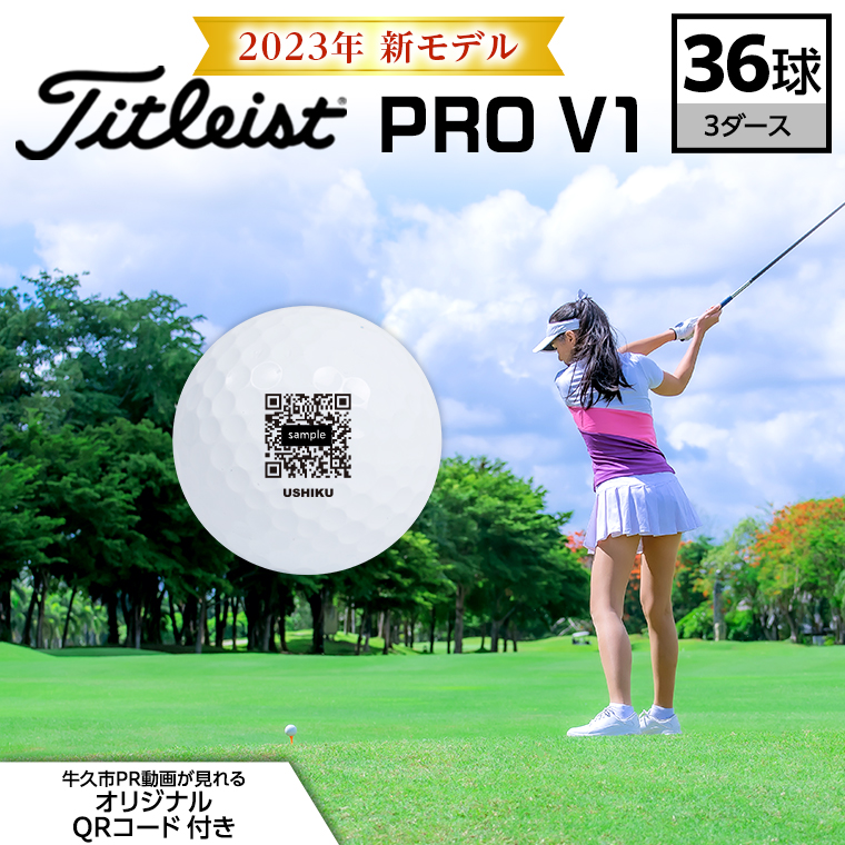 2023年 新モデル 高性能 タイトリスト ゴルフ工房 ホワイト PROV1