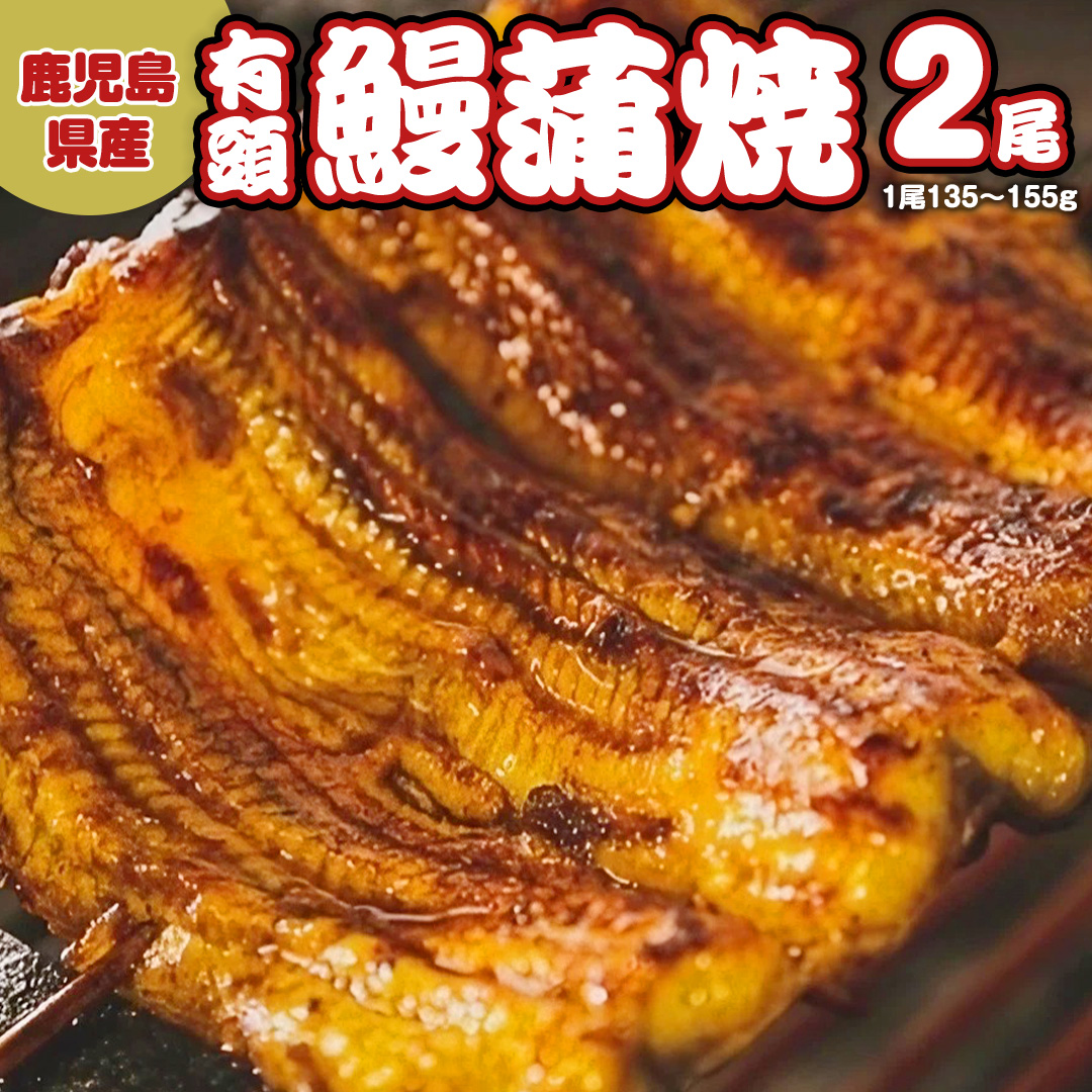 【ふるさと納税】 鹿児島県産 有頭 鰻 蒲焼 × 2尾 （ 1尾 135g ～ 155g 以上） うなぎ ウナギ 土用丑の日 家庭用 贅沢 国産 旬 敬老の日 タレ 山椒 付 縁起 土用の丑の日
