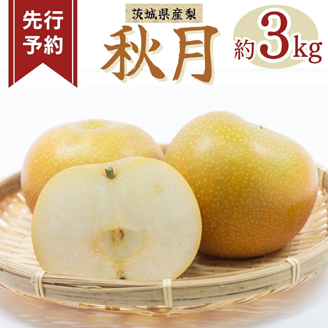 【ふるさと納税】《 先行予約 》秋月 6～9玉 ( 約3kg ) 【2025年発送】 フルーツ 果物 なし ナシ 旬 新鮮 旬 期間限定 甘い 国産