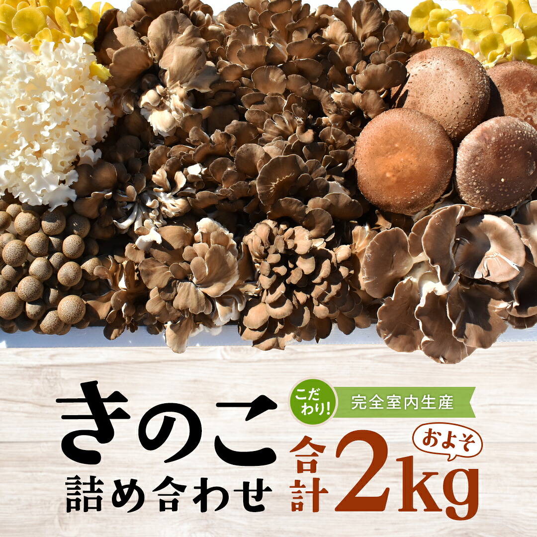 【ふるさと納税】きのこ の 詰め合わせ Lサイズ( 約2kg ) （茨城県共通返礼品：城里町） キノコ セット 野菜 低カロリー ダイエット デトックス バラエティ セット 新鮮｜茨城県牛久市 12,960円