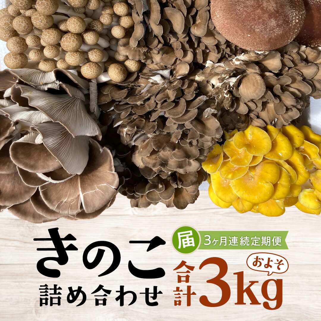 【ふるさと納税】【 3ヶ月連続定期便 】きのこ の 詰め合わせ Sサイズ ( 約1kg ) （茨城県共通返礼品：城里町） キノコ セット 野菜 低カロリー ダイエット デトックス バラエティ セット 新鮮｜茨城県牛久市
