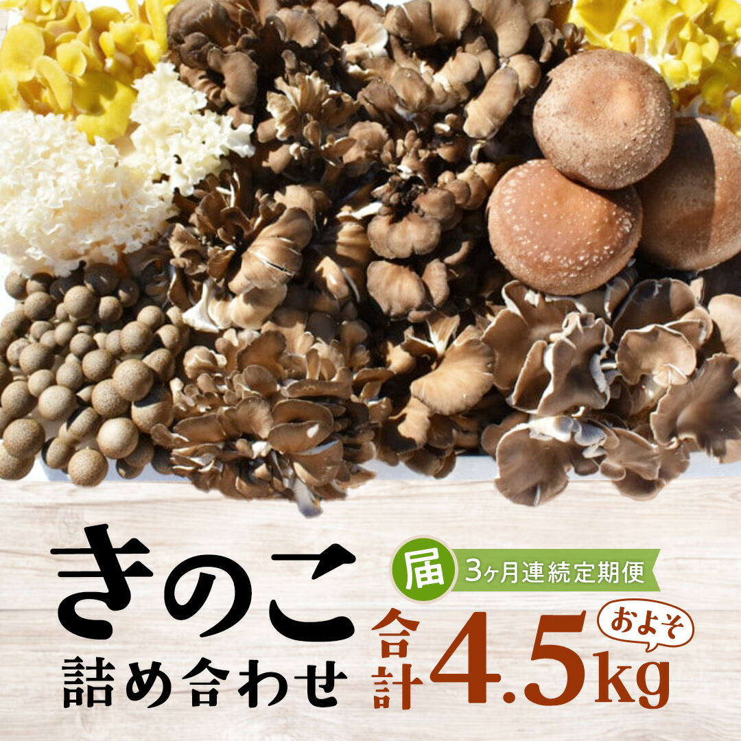 【ふるさと納税】【 3ヶ月連続定期便 】きのこ の詰め合わせ Mサイズ ( 約1.5kg ) （茨城県共通返礼品：城里町） キノコ セット 野菜 低カロリー ダイエット デトックス バラエティ セット 新鮮｜茨城県牛久市