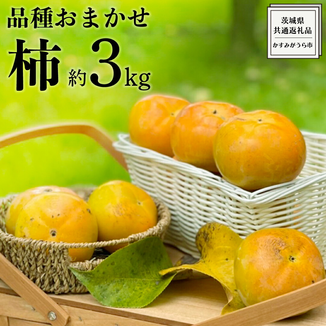 【ふるさと納税】≪先行予約≫品種おまかせ 柿 約 3kg（ 茨城県共通返礼品：かすみがうら市 ） 【 2025年 10月発送 】 フルーツ かき カキ 果物 旬 新鮮 期間限定 甘い 国産