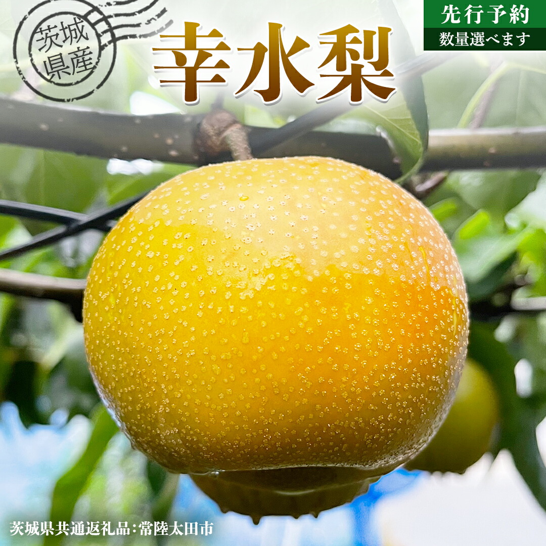 【ふるさと納税】【 先行予約 】茨城県産 梨 幸水 選べる内容量 約 3kg ～約 5kg ( 茨城県共通返礼品 : 常陸太田市 ) 【 2026年8月中旬発送予定】 フルーツ 果物 国産 日本産 梨 ナシ なし 和梨 期間限定 数量限定