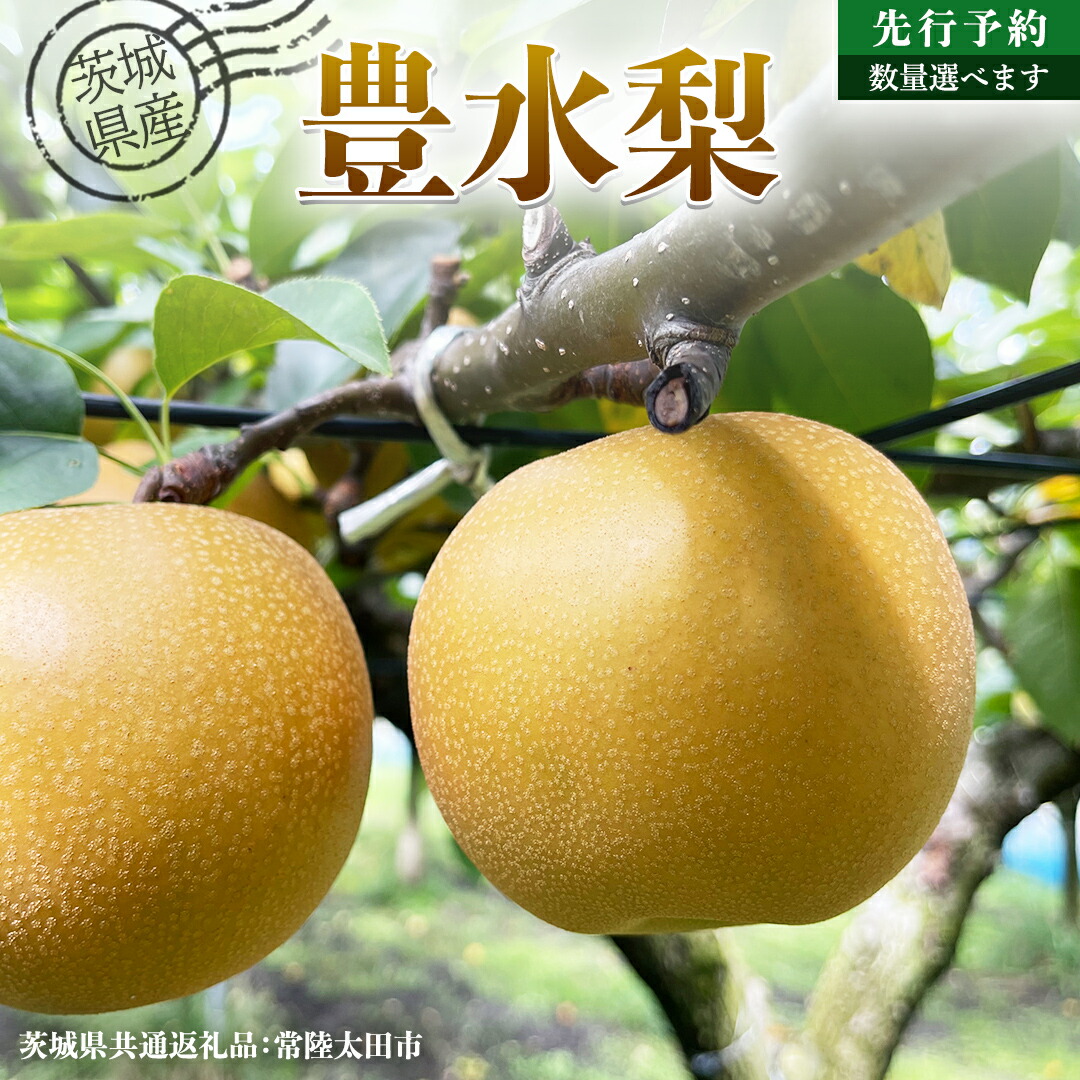 【ふるさと納税】【 先行予約 】茨城県産 梨 豊水 選べる内容量 約 3kg ～約 5kg  ( 茨城県共通返礼品 : 常陸太田市 )  【 2025年 9月上旬頃より発送 】 フルーツ 果物 国産 日本産 梨 ナシ なし 和梨 期間限定 数量限定