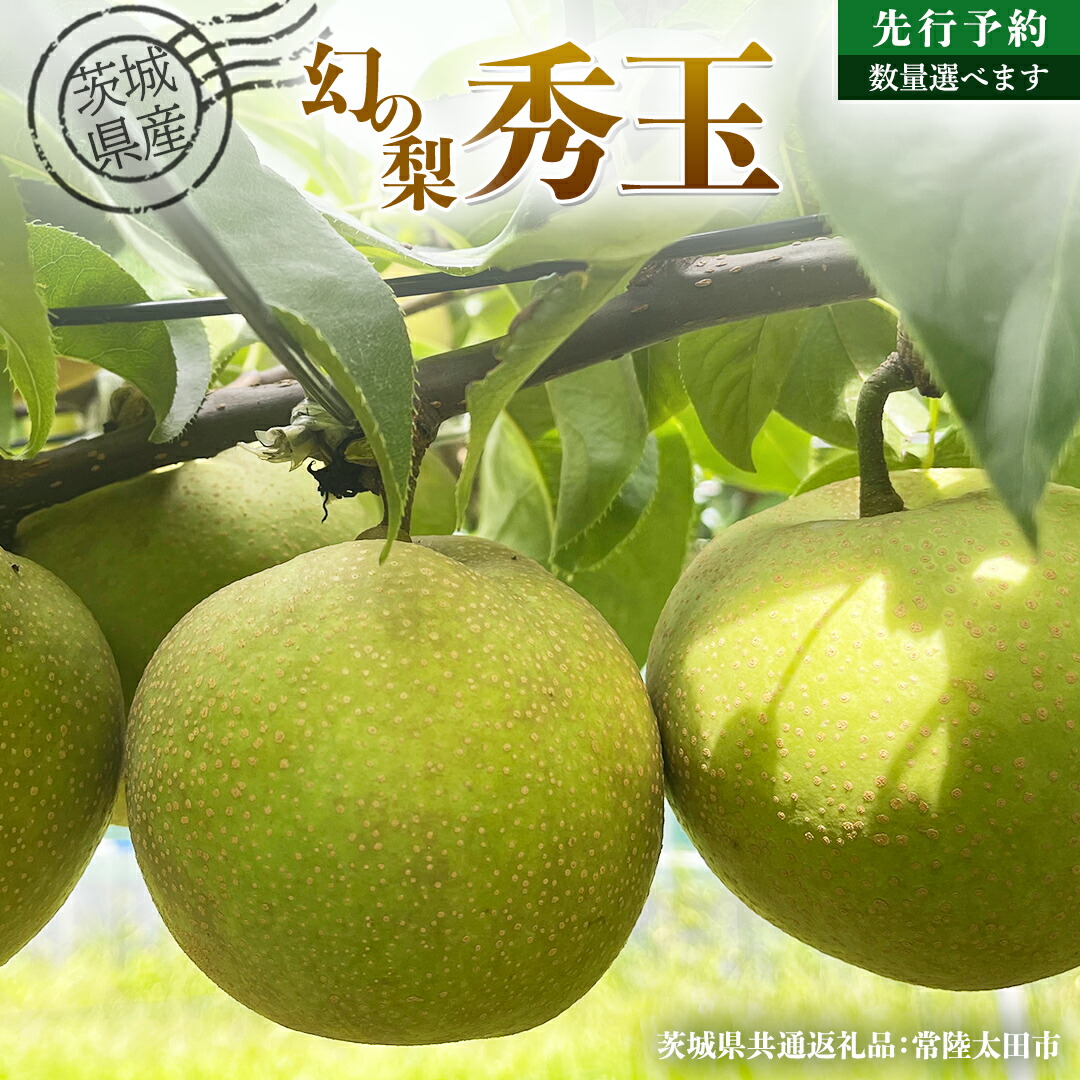 【ふるさと納税】【 先行予約 】茨城県産 梨 『幻の梨』 秀玉 選べる内容量 約 3kg ～約 5kg  ( 茨城県共通返礼品 : 常陸太田市 )  【 2025年 8月下旬頃より発送 】 フルーツ 果物 国産 日本産 梨 ナシ なし 和梨 期間限定 数量限定