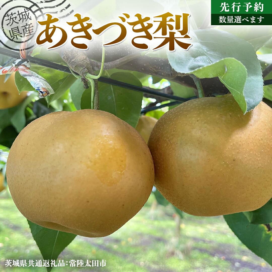 【ふるさと納税】【 先行予約 】茨城県産 梨 あきづき 選べる内容量 約 3kg ～約 5kg ( 茨城県共通返礼品 : 常陸太田市 )  【 2025年 9月中旬頃より発送 】 フルーツ 果物 国産 日本産 梨 ナシ なし 和梨 秋月 期間限定 数量限定