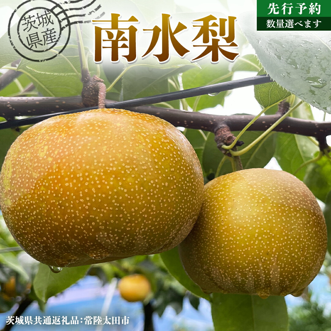 【ふるさと納税】【 先行予約 】茨城県産 梨 南水 選べる内容量 約 3kg ～約 5kg ( 茨城県共通返礼品 : 常陸太田市 )  【 2025年 9月中旬頃より発送 】 フルーツ 果物 国産 日本産 梨 ナシ なし 和梨 期間限定 数量限定