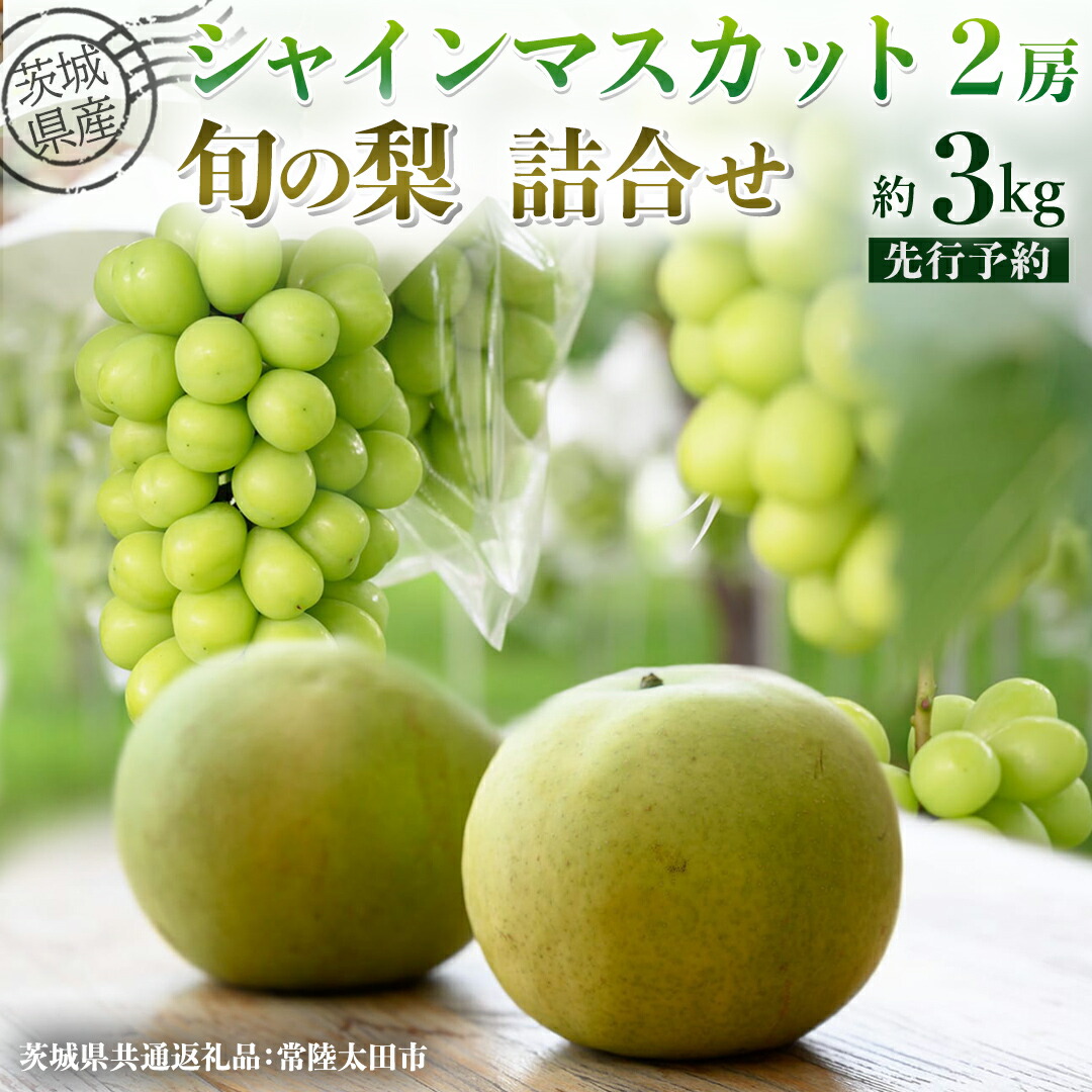 【ふるさと納税】【 先行予約 】茨城県産 シャインマスカット2房と旬の梨詰め合わせ 約 3kg ( 茨城県共通返礼品 : 常陸太田市 ) 【 2026年 9月中旬頃より発送 】 梨 ナシ なし 和梨 シャインマスカット フルーツ ぶどう 葡萄 ブドウ マスカット 果物 期間限定 数量限定