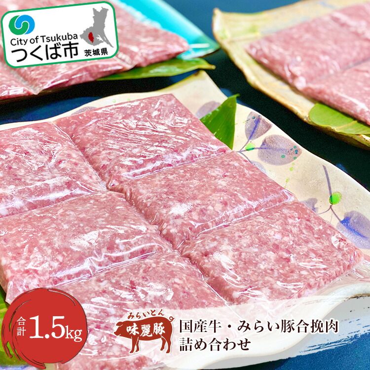 【ふるさと納税】村下商事シリーズ 国産牛・みらい豚合挽肉 1.5kg | 茨城県 つくば市 豚肉 豚 ぶた肉 ブランド豚 ブランド肉 高級 牛肉 牛 合い挽き ハンバーグ 肉団子 肉豆腐 冷凍 10000 10000円 1115087