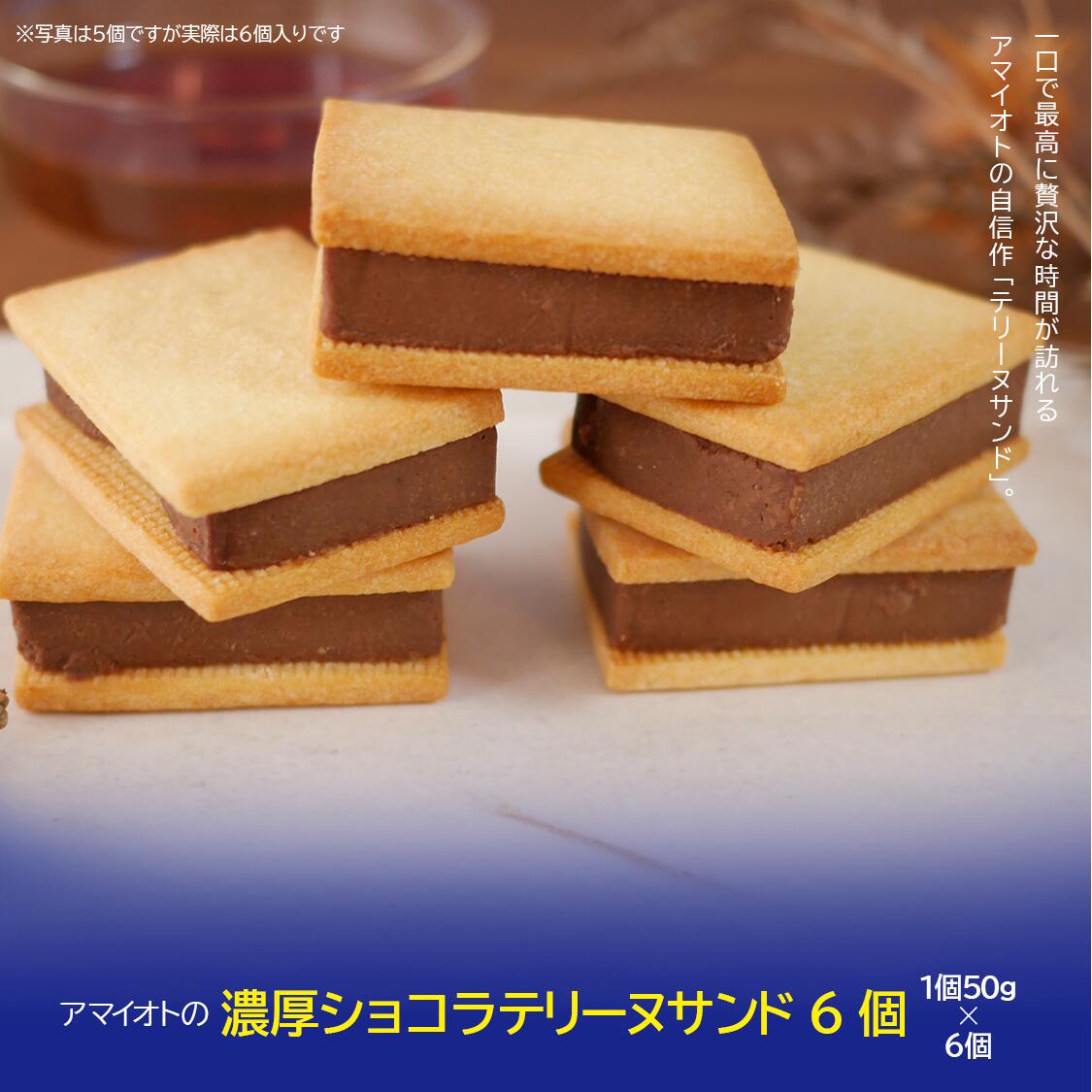 【ふるさと納税】アマイオトの「芳醇ショコラテリーヌサンド6個」 | テリーヌ テリーヌサンド ショコラ チョコ チョコレート 焼き菓子 スイーツ サクサク しっとり バレンタイン ホワイトデー ご褒美 デザート お取り寄せ 茨城県 つくば市|茨城県つくば市