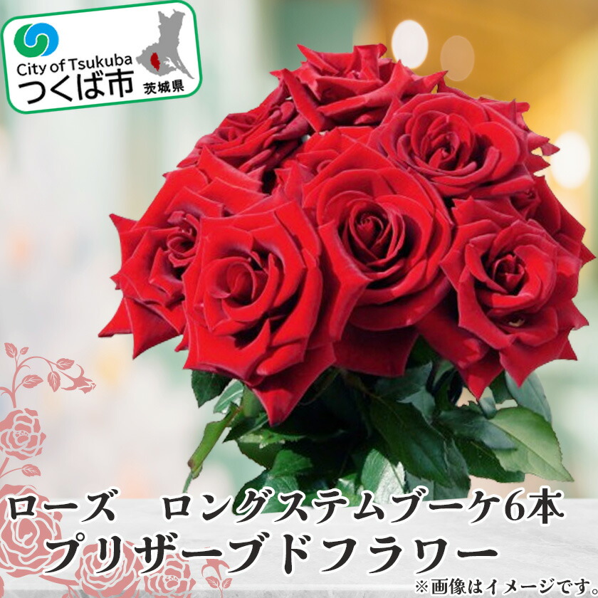 【ふるさと納税】プリザーブドフラワー サクラ色 ロングステムブーケ | 茨城県 つくば市 薔薇 お花 花 お花 ローズ 差し上げ物 呉れて遣る 差し上げ物 申し合わせ