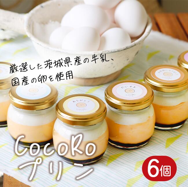 【ふるさと納税】プリン CocoRoプリン6個(ギフト包装+メッセージシール付き)|茨城県 つくば市 プリン スイーツ 生クリーム カスタードクリーム バニラ 牛乳 卵 国産 甘味 お菓子 デザート ギフト|茨城県つくば市