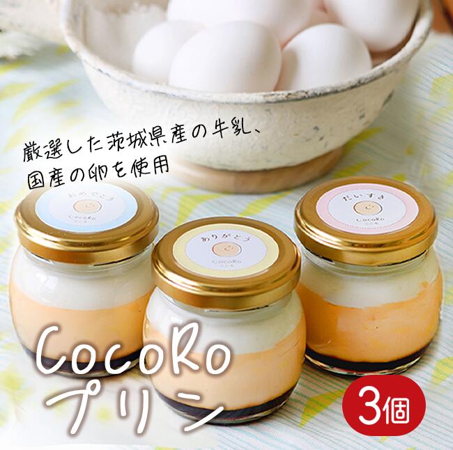【ふるさと納税】CocoRoプリン3個セット（ギフト包装＋メッセージシール付き）｜茨城県 つくば市 プリン スイーツ 生クリーム カスタードクリーム バニラ 牛乳 卵 国産 甘味 お菓子 デザート ギフト 8000