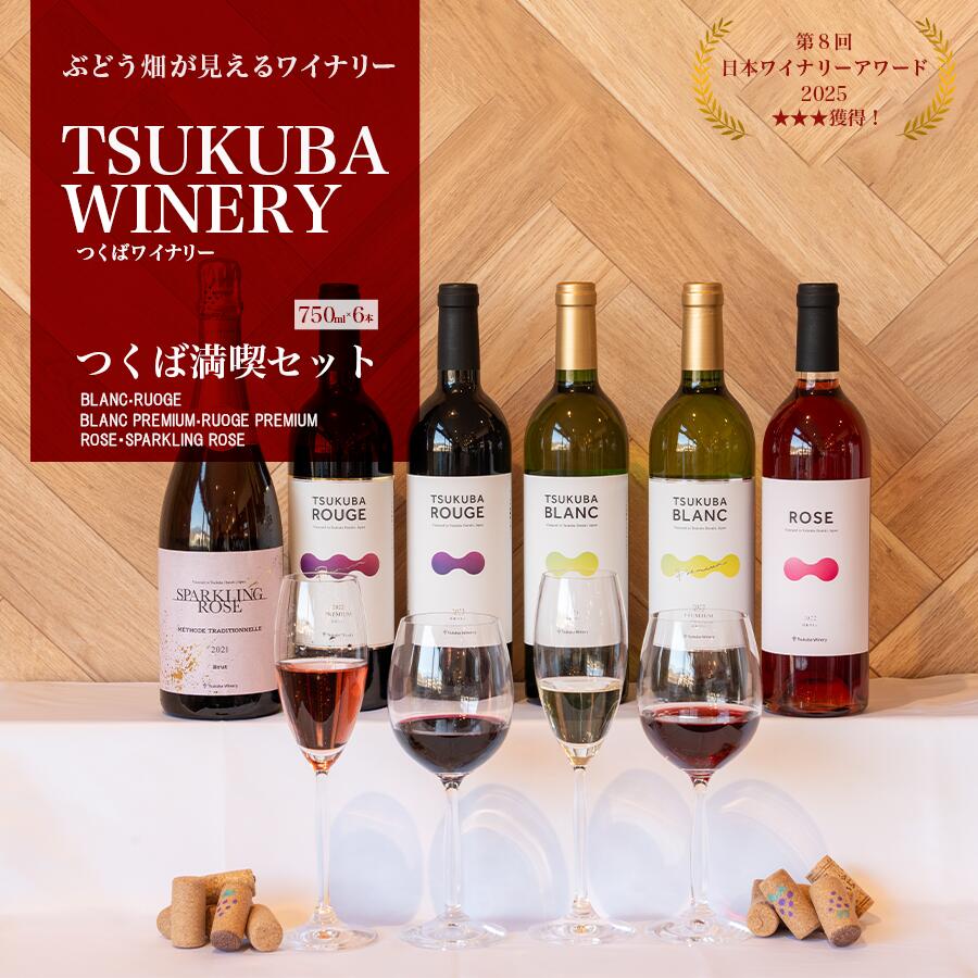【ふるさと納税】ワイン つくばワイナリー 満喫セット | お酒 葡萄 ぶどう ブドウ 茨城県 つくば市 赤ワイン 白ワイン ロゼワイン 飲み比べ 48,000円