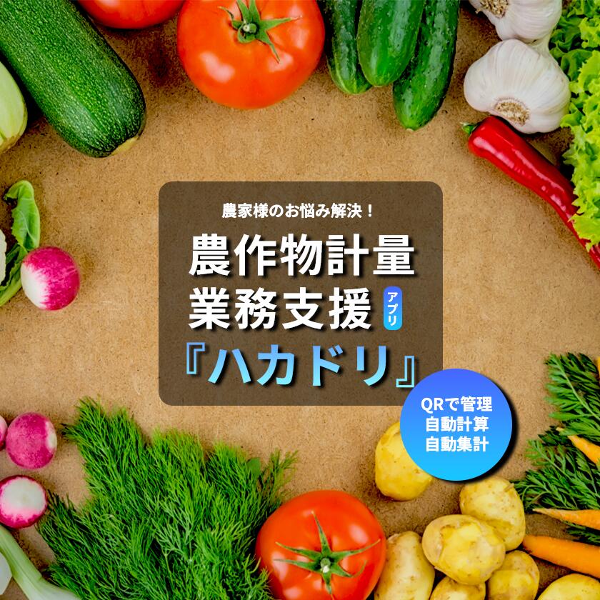 【ふるさと納税】称量お役目助けること適用業務「ハカドリ」 | 適用業務 稼穡 稼穡助けること 蔬菜 お役目能率化 農作物 お百姓さん 生み出すこと者 茨城県 つくば市