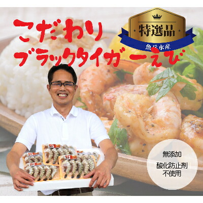 魚兵水産こだわりのブラックタイガー海老 10尾10パック(計2400g程度)