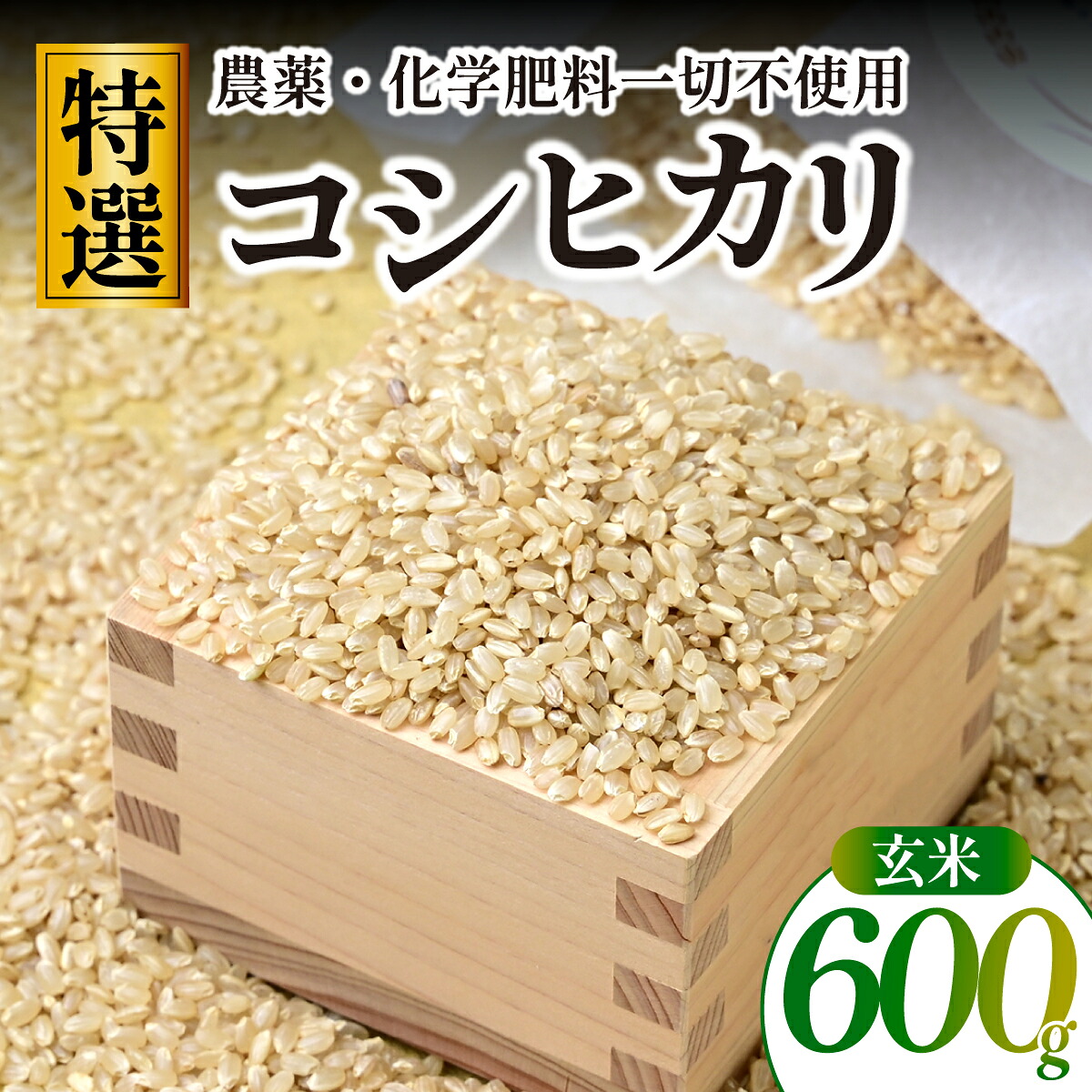 【ふるさと納税】【特別栽培米】コシヒカリ　茨城県産　玄米　600g　ギフトにおすすめ【1670037】