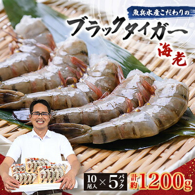 【ふるさと納税】魚兵水産こだわりのブラックタイガー海老　 10尾5パック(計1200g程度)【配送不可地域：離島】【1215914】