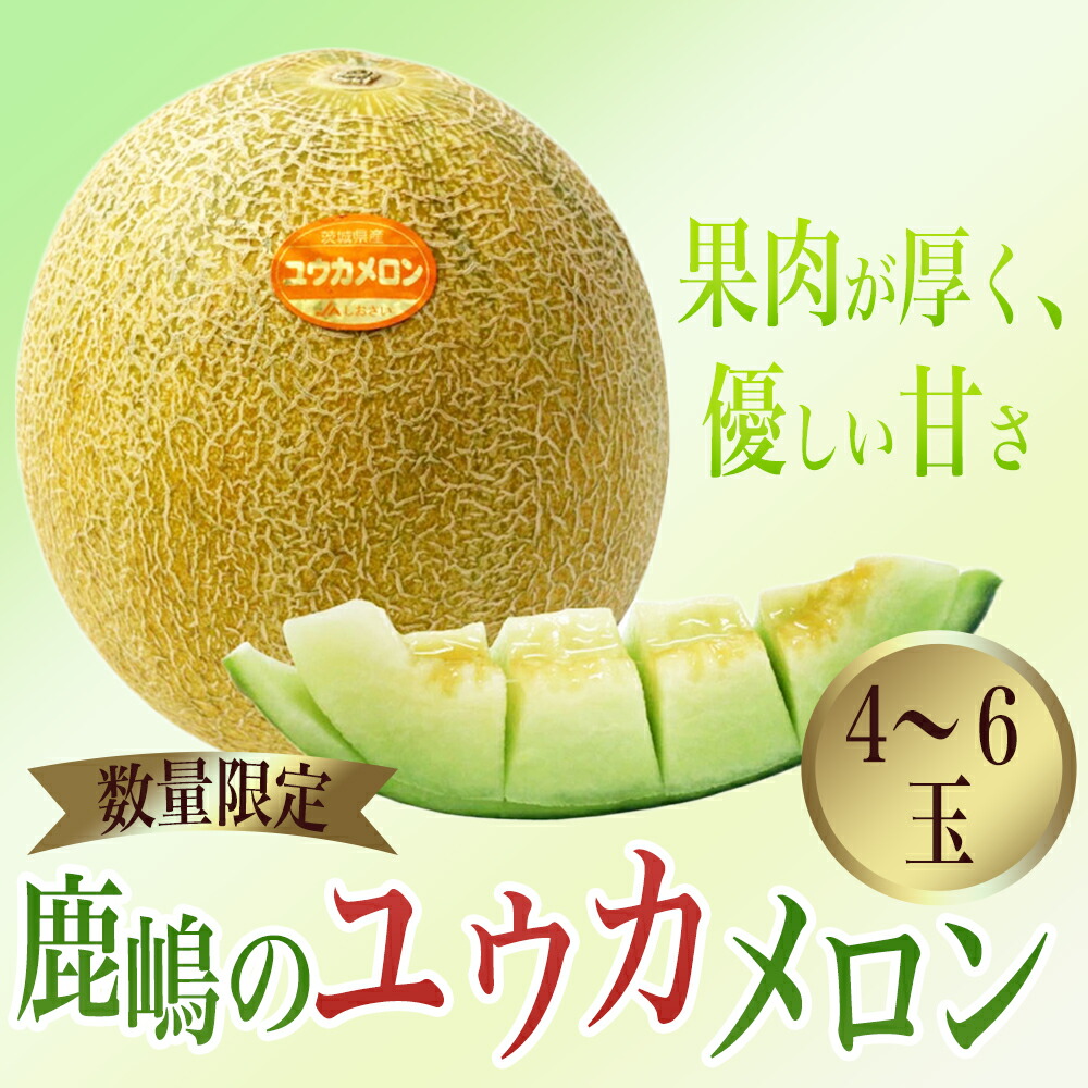 【ふるさと納税】カシマのメロン ユウカメロン 4～6玉（KA-14）