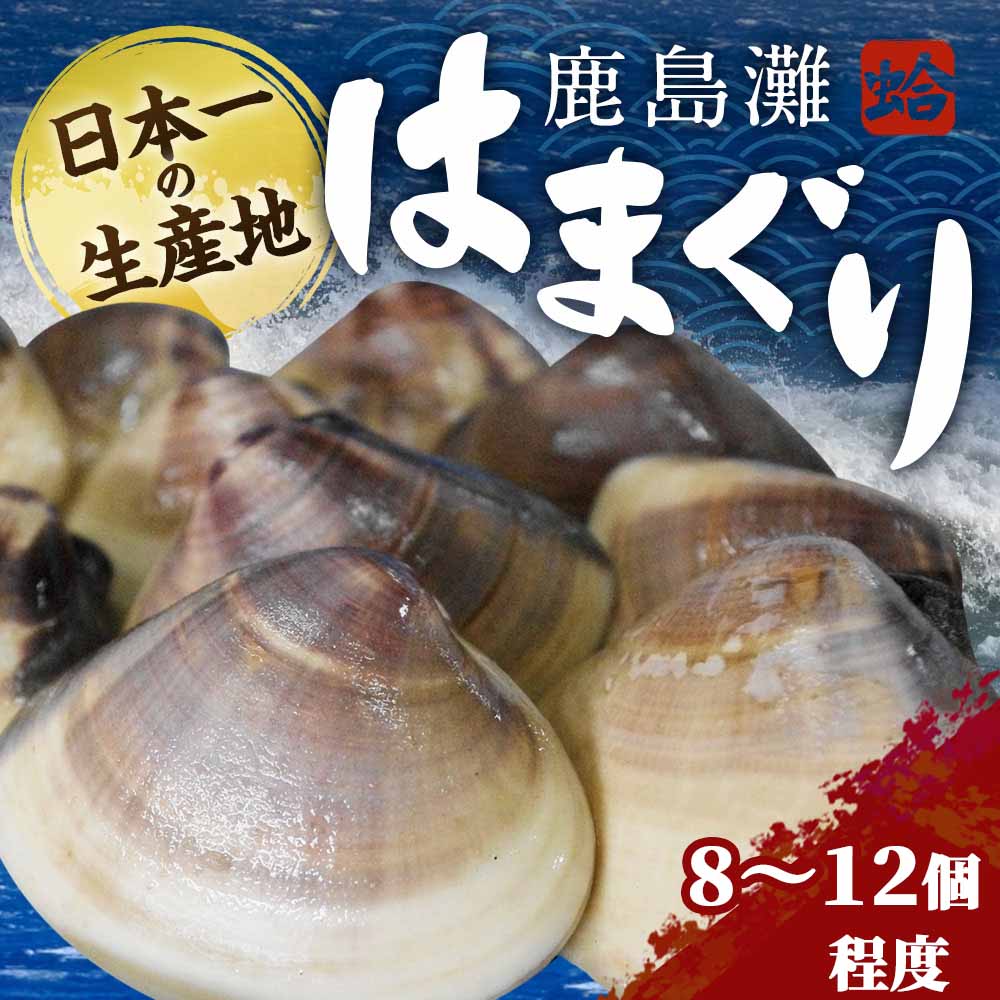 【ふるさと納税】鹿島灘はまぐり【ハマグリ 蛤 海鮮 貝 魚貝 鹿嶋市 茨城県 20000円以内 2万円以内）（KM-2）