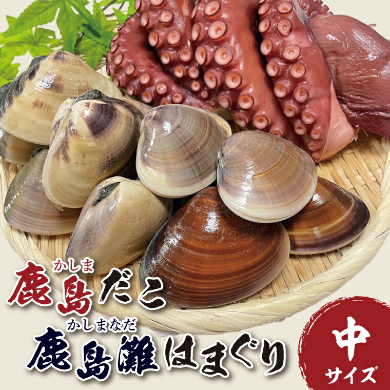 【ふるさと納税】鹿島だこ 鹿島灘はまぐりセット（中）【たこ タコ 蛸 蛤 ハマグリ 海鮮 新鮮 魚貝 地たこ 刺身 鹿島灘 鹿嶋市 茨城県】（KM-10）