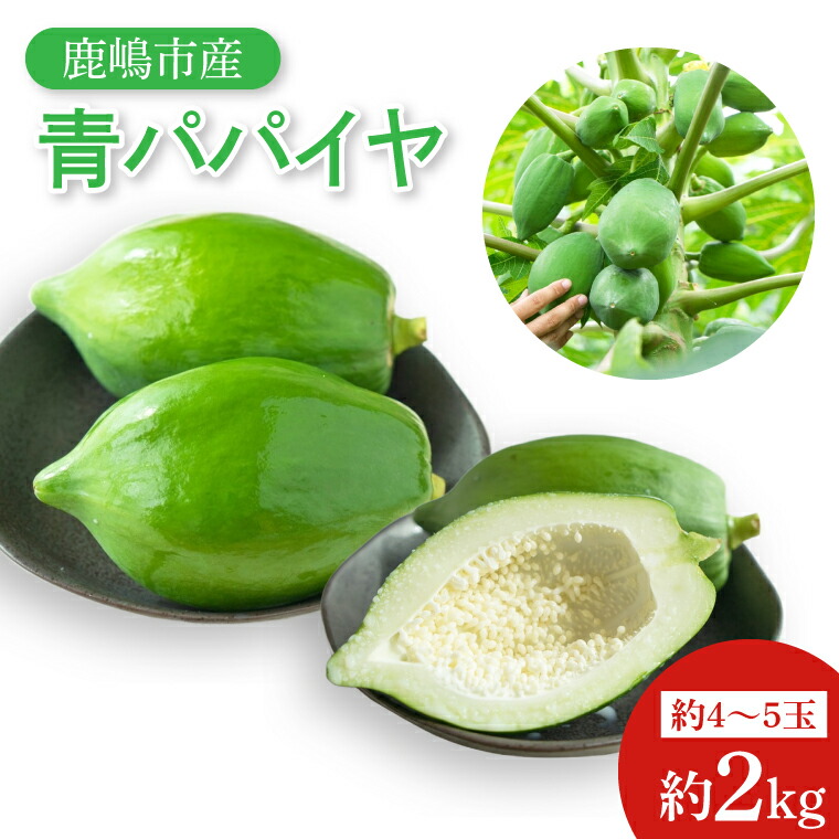 【ふるさと納税】【先行予約】鹿嶋市唯一の青パパイヤ農園！青パパイヤ 約2kg 【野菜 やさい くだもの 果物 鹿嶋市 茨城県 10000円以内 1万円以内】（KBF-4）